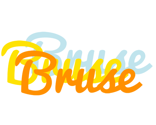 Bruse energy logo