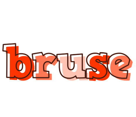 Bruse paint logo