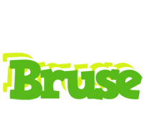 Bruse picnic logo