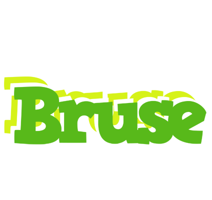Bruse picnic logo
