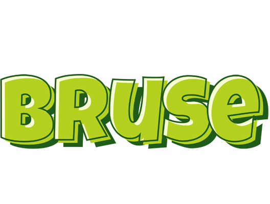 Bruse summer logo