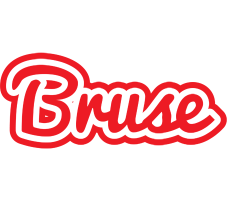 Bruse sunshine logo