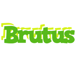 Brutus picnic logo