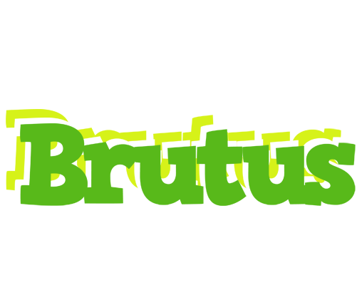 Brutus picnic logo