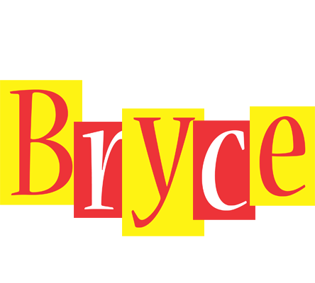 Bryce errors logo