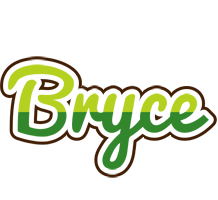 Bryce golfing logo