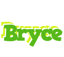 Bryce picnic logo