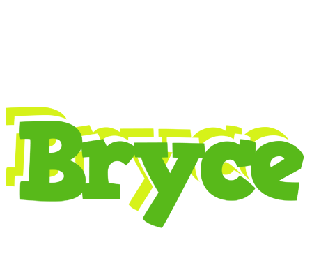 Bryce picnic logo