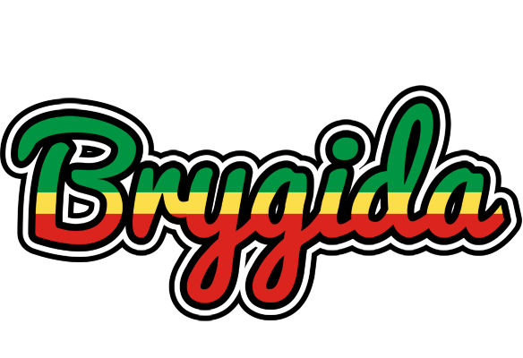Brygida african logo