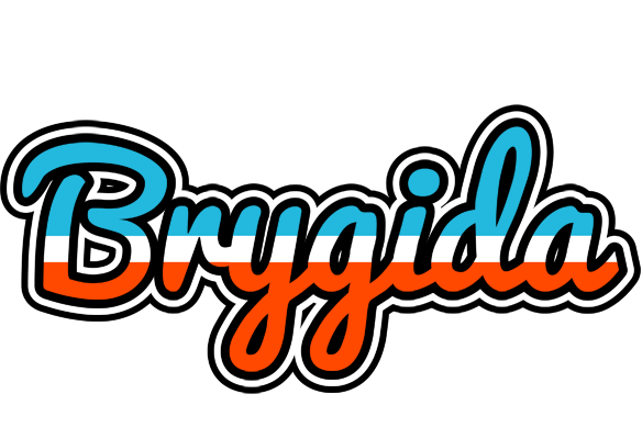 Brygida america logo