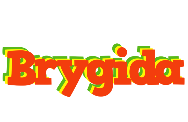 Brygida bbq logo