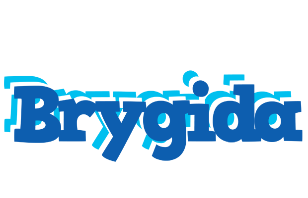 Brygida business logo