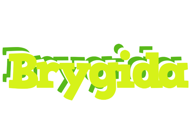Brygida citrus logo