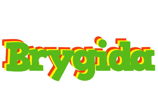 Brygida crocodile logo
