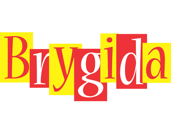 Brygida errors logo