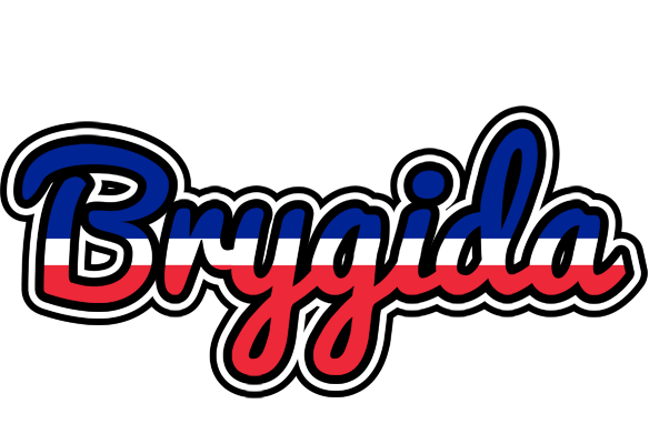 Brygida france logo
