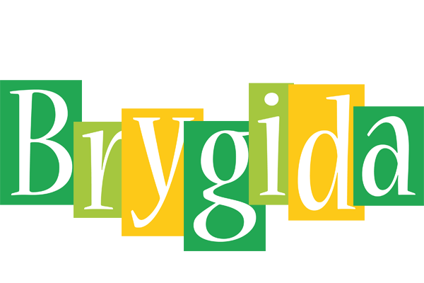 Brygida lemonade logo