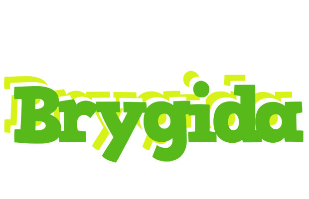 Brygida picnic logo