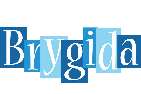 Brygida winter logo