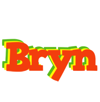 Bryn bbq logo