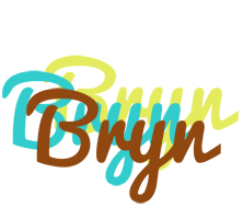 Bryn cupcake logo