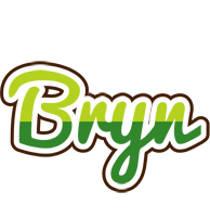 Bryn golfing logo