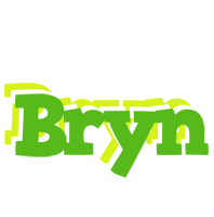 Bryn picnic logo