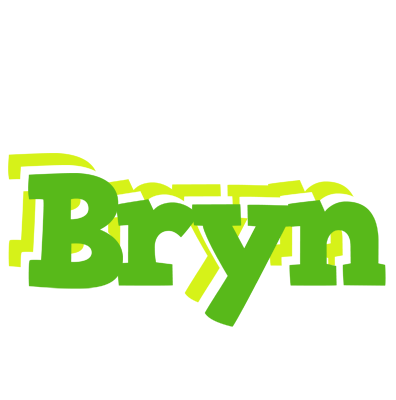 Bryn picnic logo