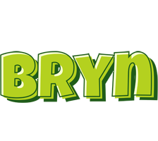 Bryn summer logo