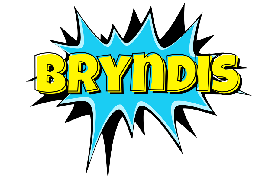 Bryndis amazing logo