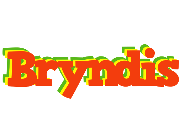 Bryndis bbq logo