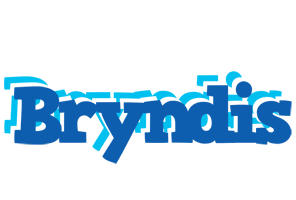 Bryndis business logo