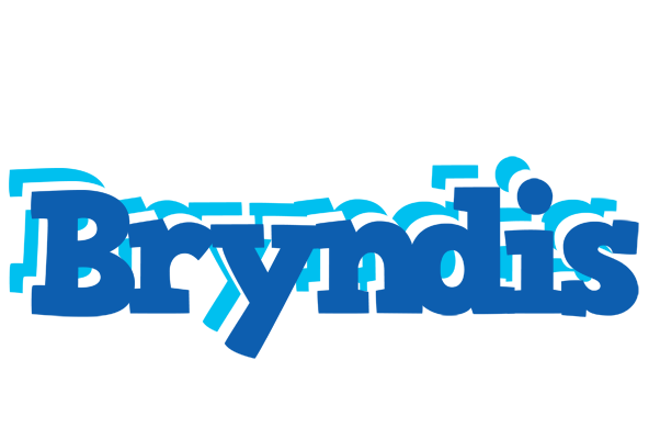 Bryndis business logo