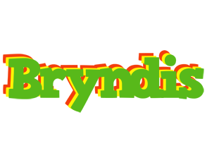 Bryndis crocodile logo