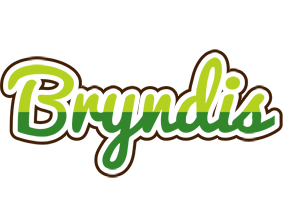 Bryndis golfing logo