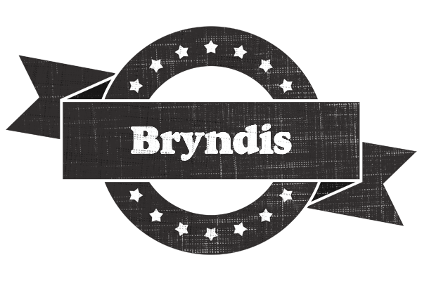Bryndis grunge logo