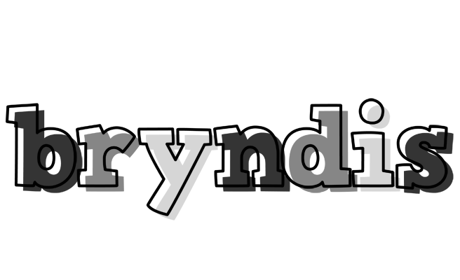 Bryndis night logo