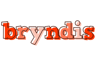 Bryndis paint logo