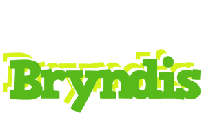 Bryndis picnic logo