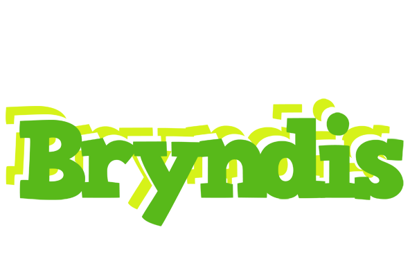 Bryndis picnic logo