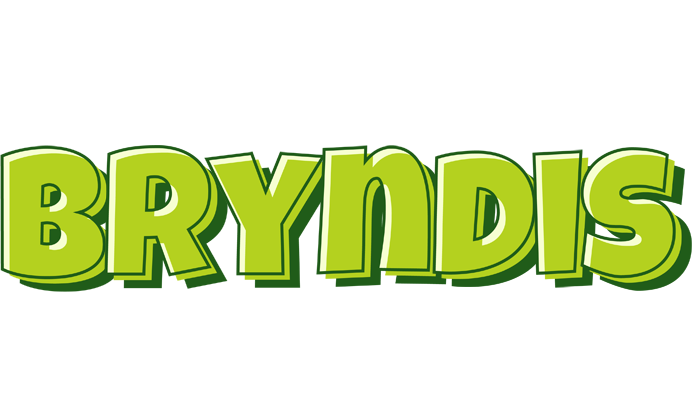 Bryndis summer logo