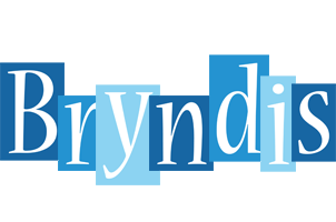 Bryndis winter logo