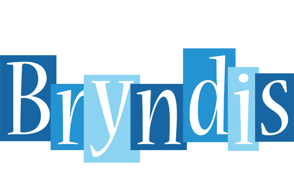 Bryndis winter logo