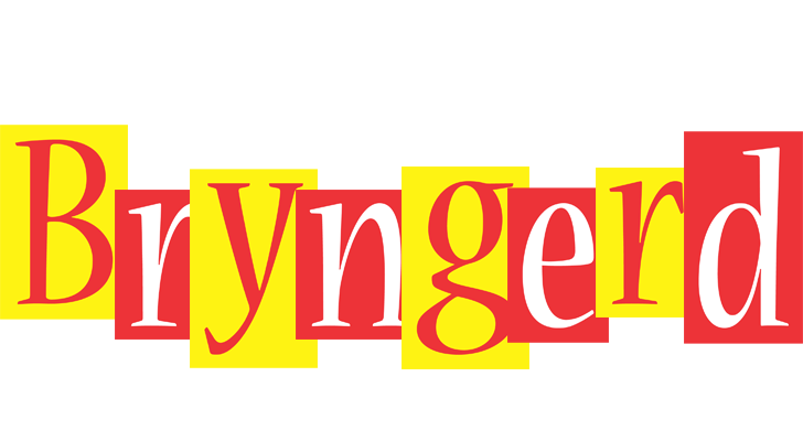 Bryngerd errors logo