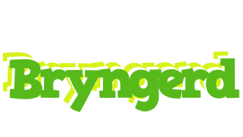 Bryngerd picnic logo