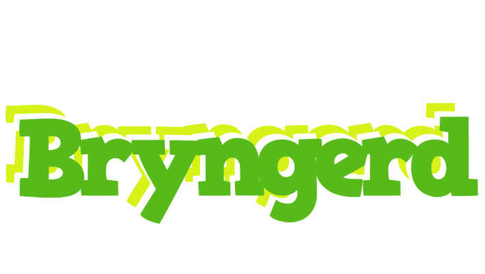 Bryngerd picnic logo