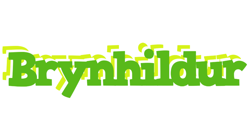 Brynhildur picnic logo