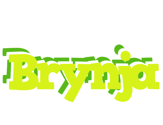 Brynja citrus logo