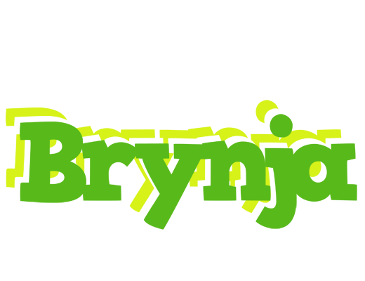 Brynja picnic logo