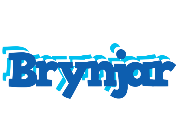 Brynjar business logo
